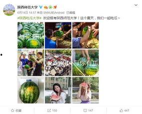 吃瓜喝酒蹦迪,吃瓜、喝酒、蹦迪的欢乐时光