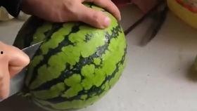 20多年瓜怎么吃,探索瓜类美食的多样吃法