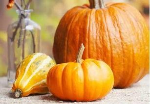 两年半瓜吃瓜解说,两年半瓜吃瓜大揭秘