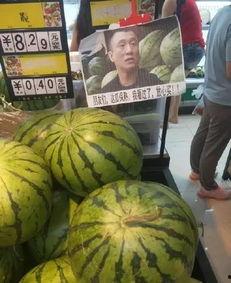 孙红雷吃瓜保甜,揭秘娱乐圈的甜蜜秘密