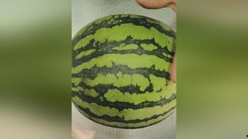 小时吃的骚瓜,健康生活新篇章