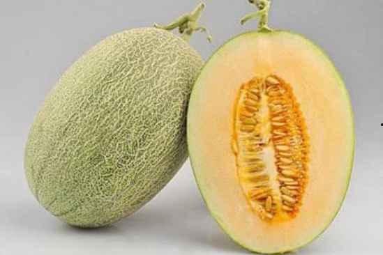来月经可以吃哈密瓜吗会有影响吗
