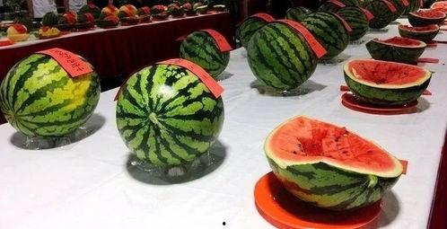 吃瓜节日是什么节,一场全民狂欢的美食盛宴