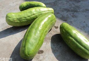 吃脆脆瓜,夏日消暑新宠