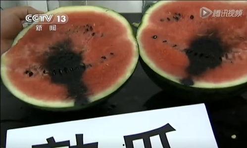 带你走进瓜地吃瓜视频,跟随视频带你体验夏日吃瓜乐趣