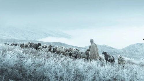 云端吃瓜牧歌,揭秘虚拟世界中的田园牧歌生活