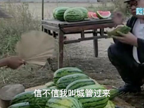 吃瓜遇到缘分,缘分的奇妙邂逅