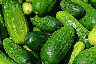 梦到吃挺甜的瓜,揭秘梦境中的甜蜜寓意