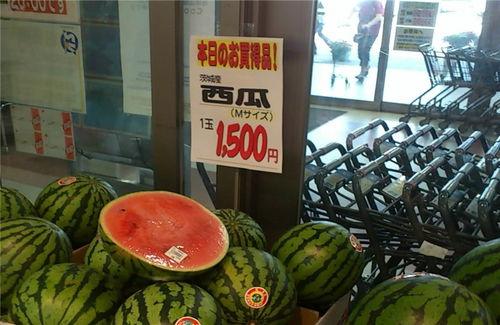 吃瓜大户,吃瓜大户带你领略明星幕后故事