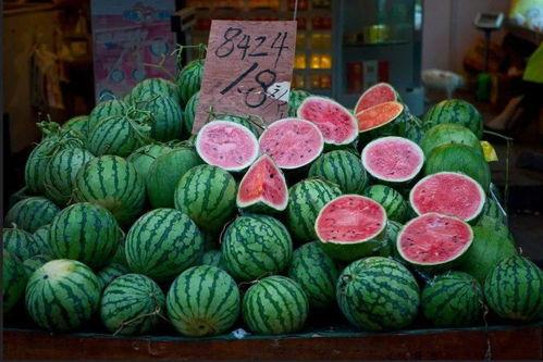 大明弟吃瓜,揭秘宫廷秘闻，笑谈历史风云