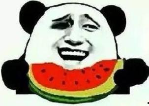 带你吃瓜人类早期驯化,人类早期驯化食物的演变之旅