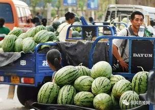 宁城院吃瓜墙,揭秘校园热点事件背后的真相