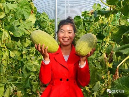 阳了吃哈密瓜,哈密瓜助力康复之旅