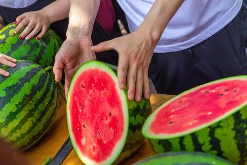 长治某学校吃瓜