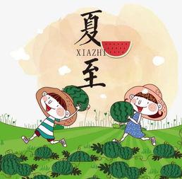 夏至吃哪三瓜,品味三瓜养生之道