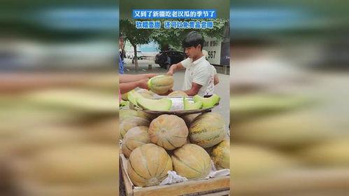 吃新疆的老汉瓜