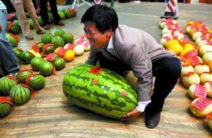 深圳宝安疫情吃瓜